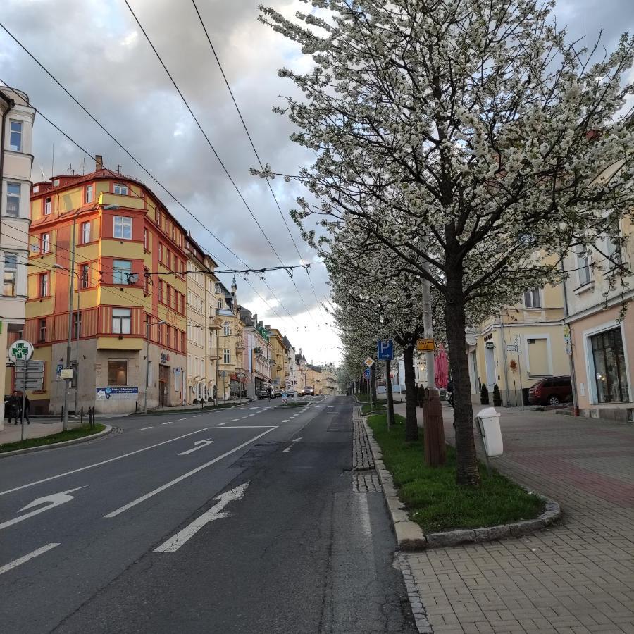 Apartman Friedrichsruh Apartment Marianske Lazne Exterior photo